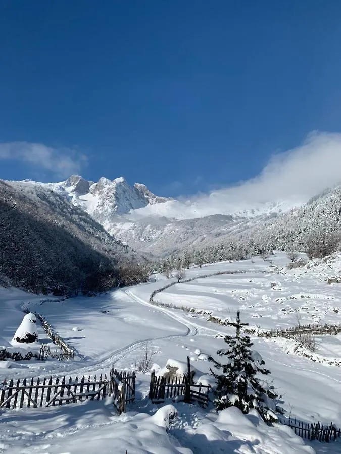 Gasthuis Guesthouse Rosi Kukaj Albanië