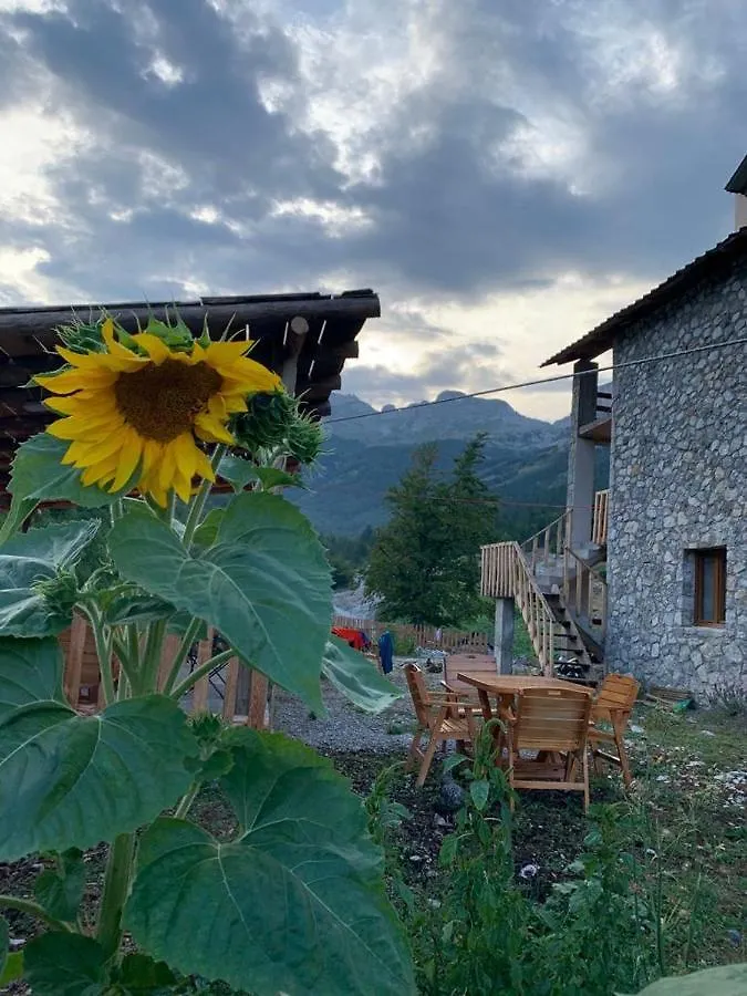 Guesthouse Rosi Kukaj